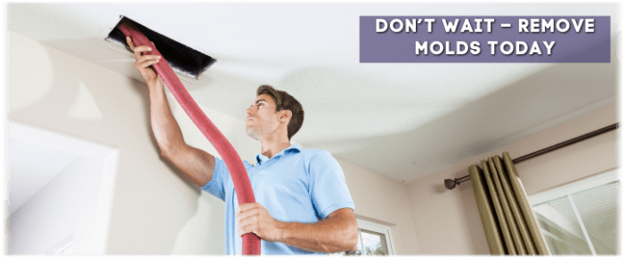 Air Duct Mold Removal in Miramar FL